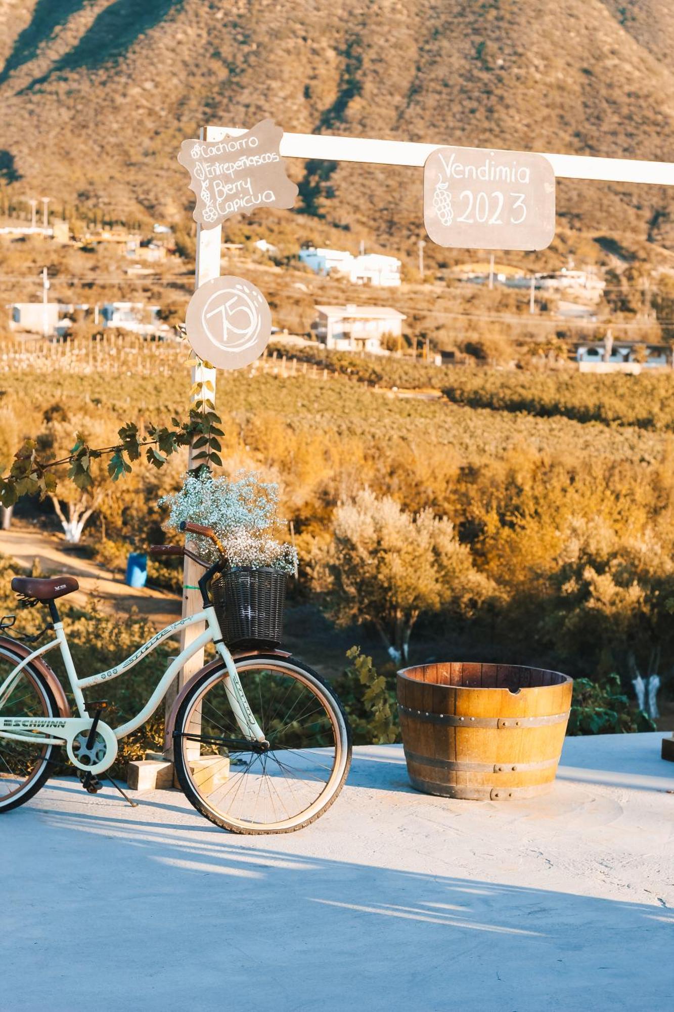 Origen75 Loft - Villas - Skypool - Vinedo, Valle De Guadalupe Bagian luar foto