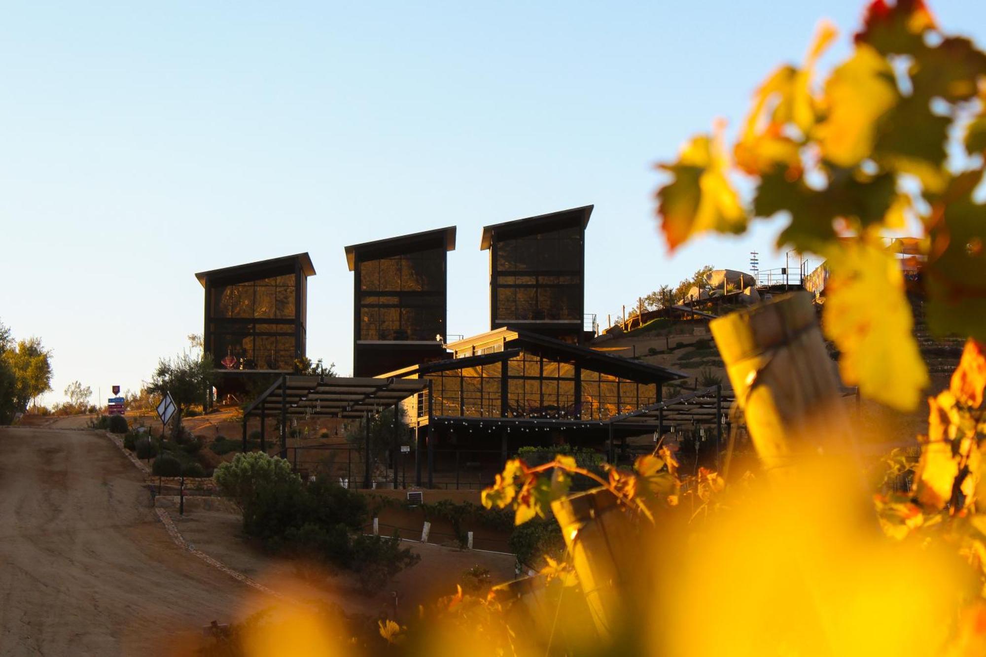 Origen75 Loft - Villas - Skypool - Vinedo, Valle De Guadalupe Bagian luar foto